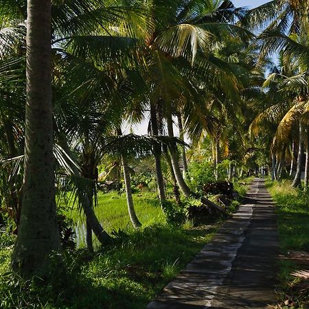 Satori Villas Bali Ubud Zewnętrze zdjęcie