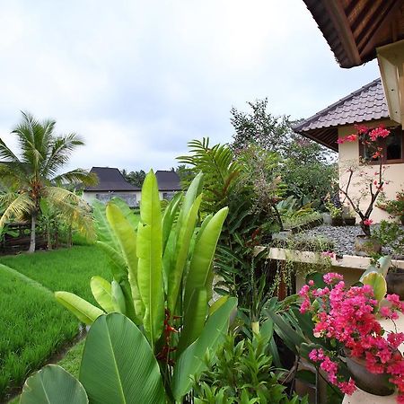 Satori Villas Bali Ubud Zewnętrze zdjęcie