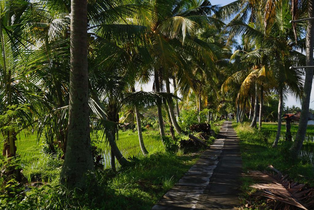 Satori Villas Bali Ubud Zewnętrze zdjęcie