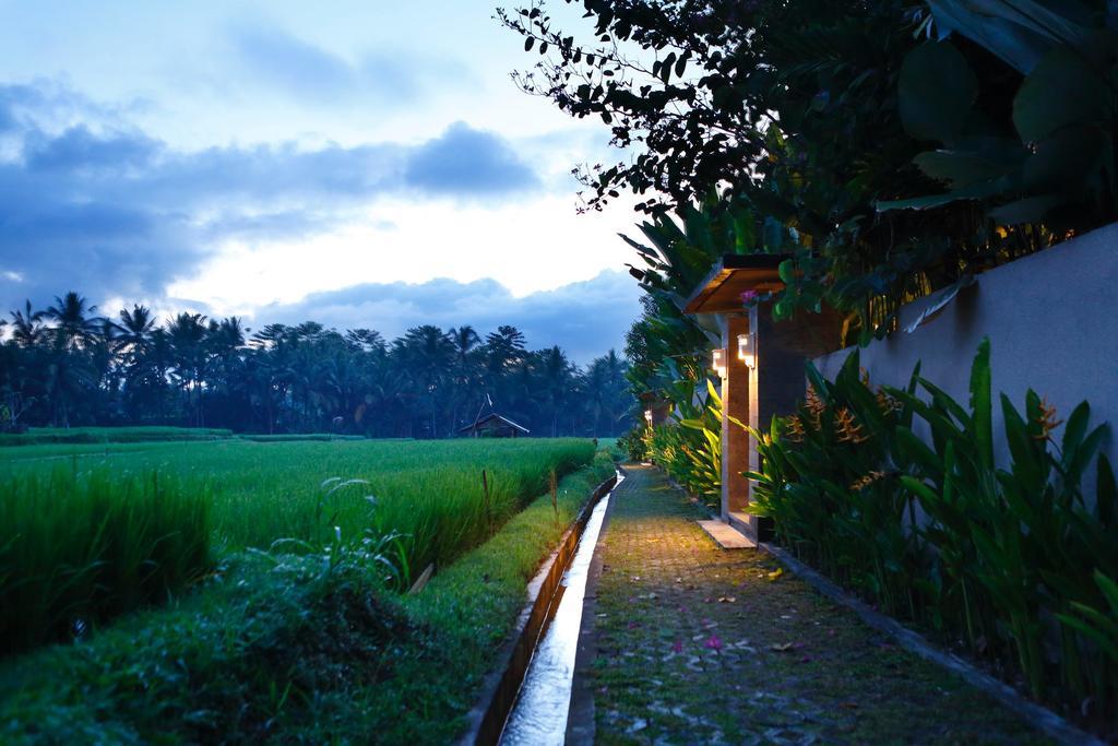 Satori Villas Bali Ubud Zewnętrze zdjęcie