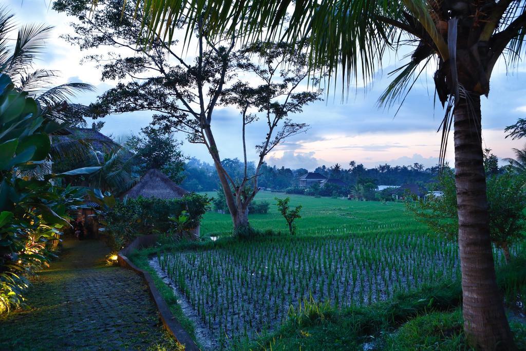 Satori Villas Bali Ubud Zewnętrze zdjęcie