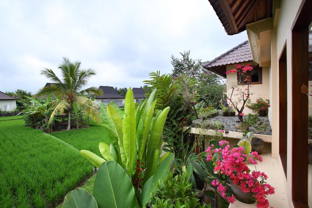 Satori Villas Bali Ubud Zewnętrze zdjęcie