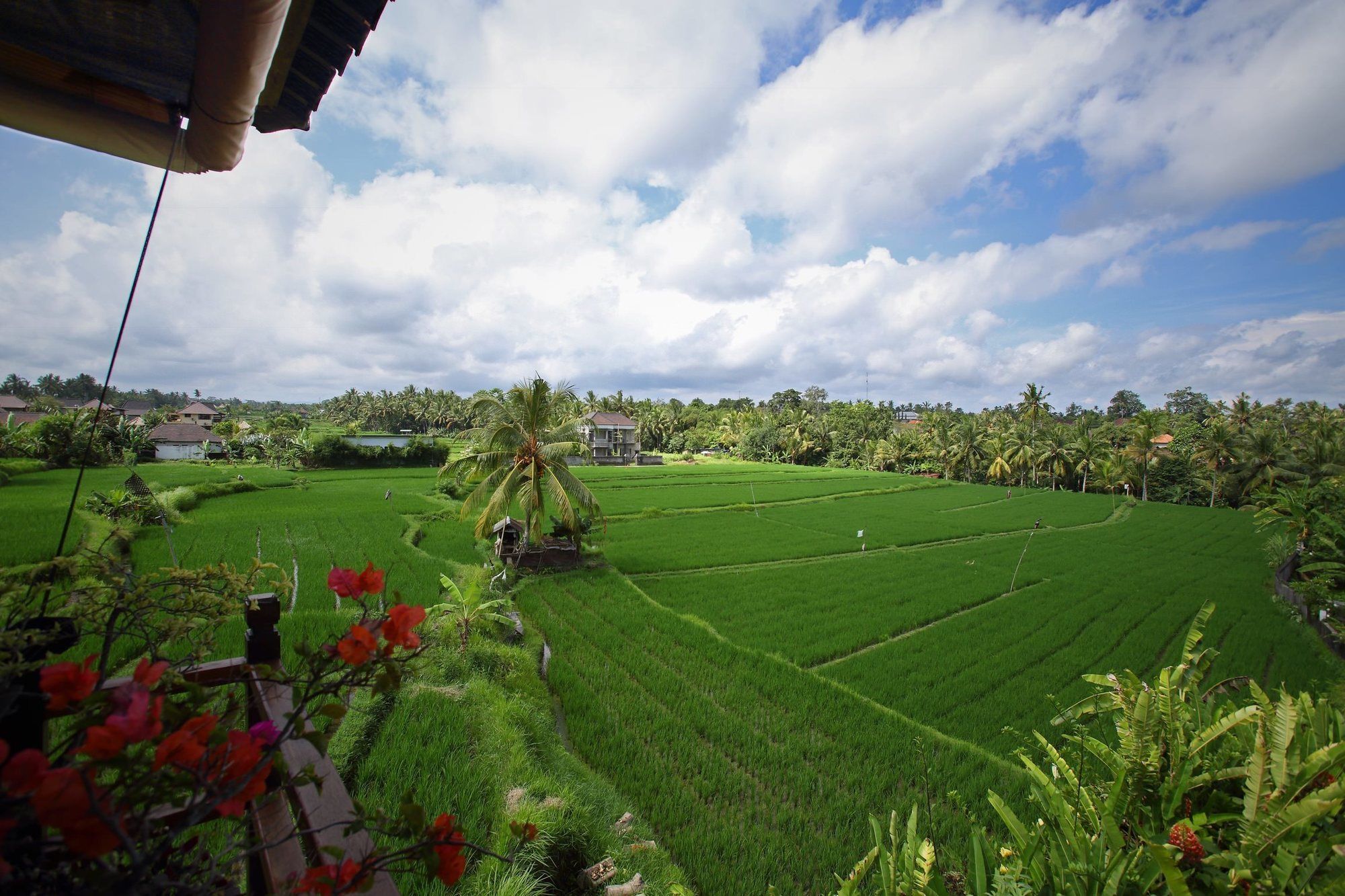 Satori Villas Bali Ubud Zewnętrze zdjęcie